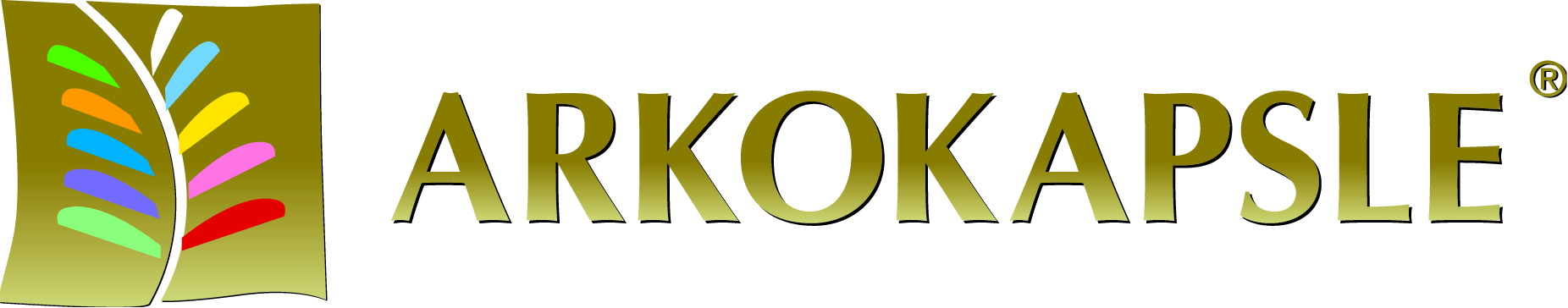 arkokapsle_logo.jpg