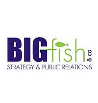 skp-bigfish-logo-bfco-1.jpg