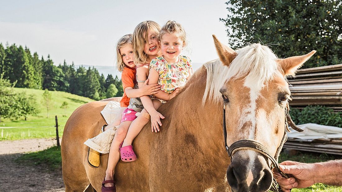 Děti a kůň
