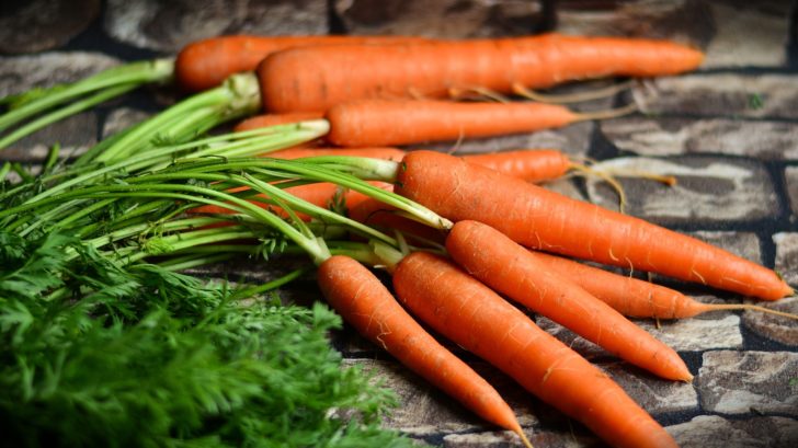 1513584743carrots-2387394_1920-728x409.jpg