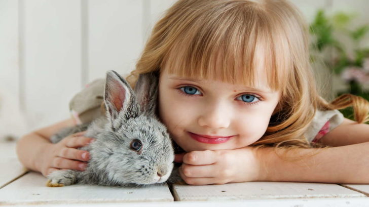 girl-lying-on-white-surface-petting-gray-rabbit-1462634-728x409.jpg