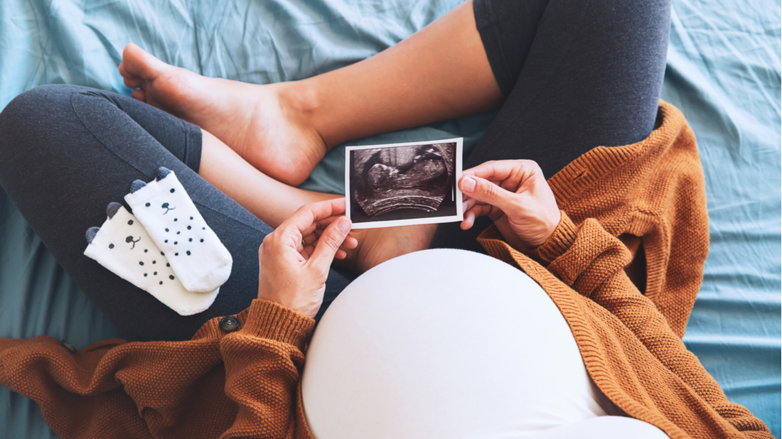 trimestry těhotenství