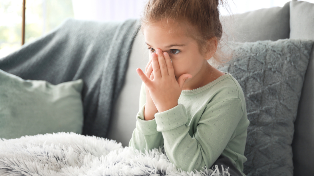 shutterstock_1511877287