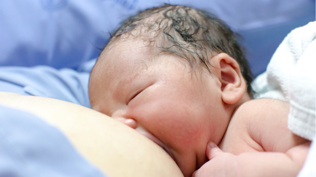 shutterstock_1022816467