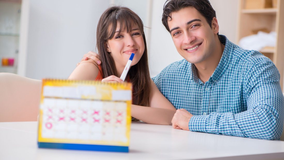 Shutterstock_1017364264