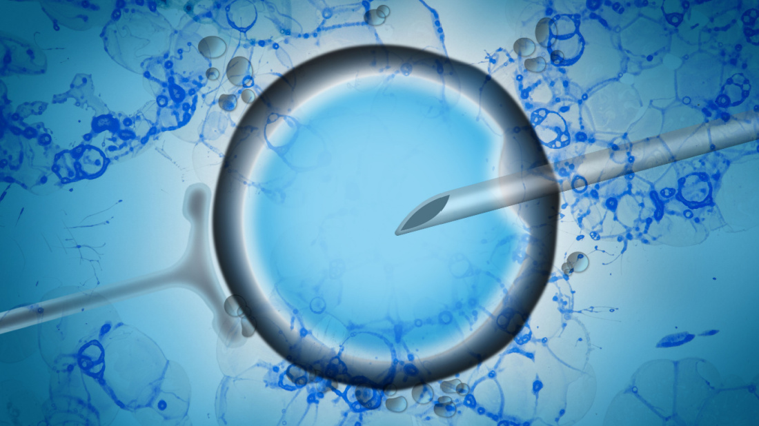 Shutterstock_1150135829