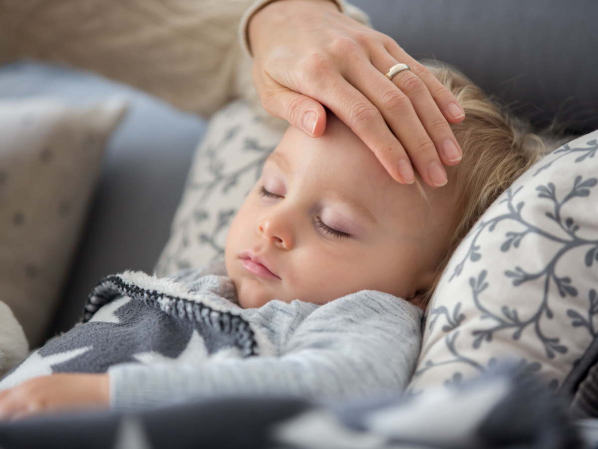 Shutterstock_1300721335