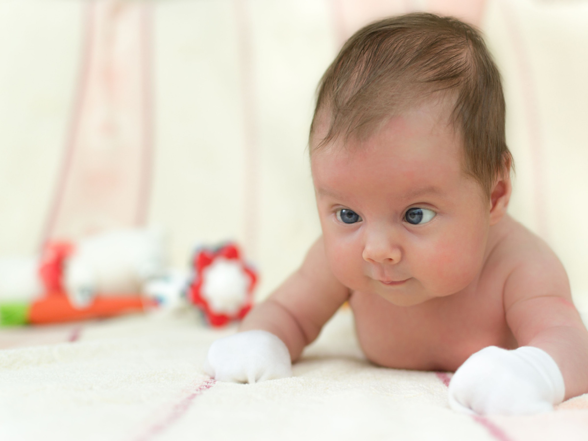 Shutterstock_143976286