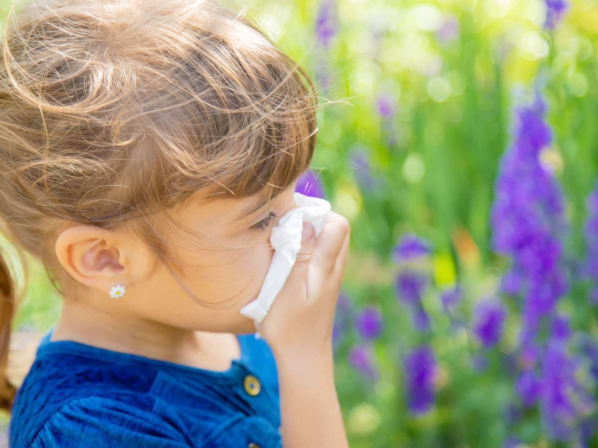 Shutterstock_1454227421