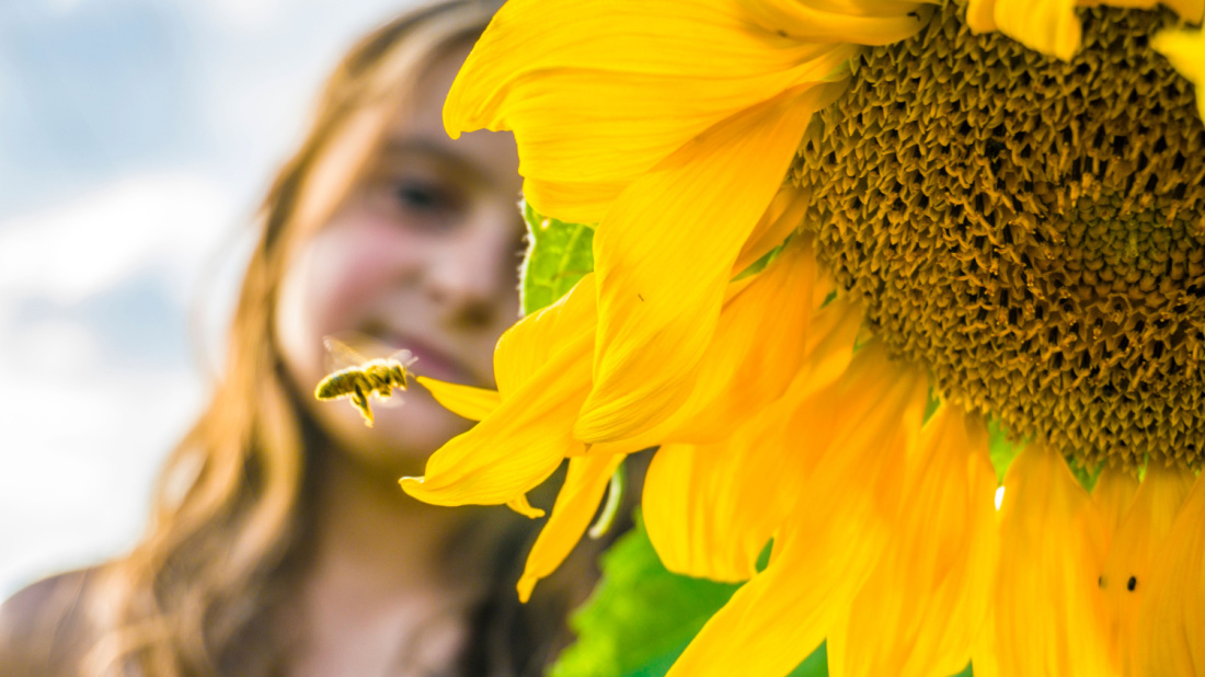 Shutterstock_1191950596