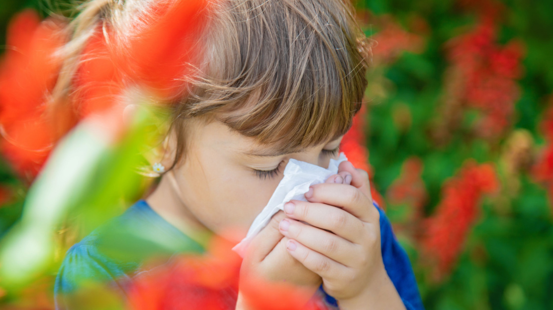 Shutterstock_1454227445