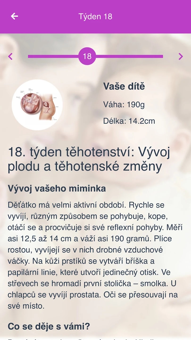 tyden-tehotenstvi-1.jpg
