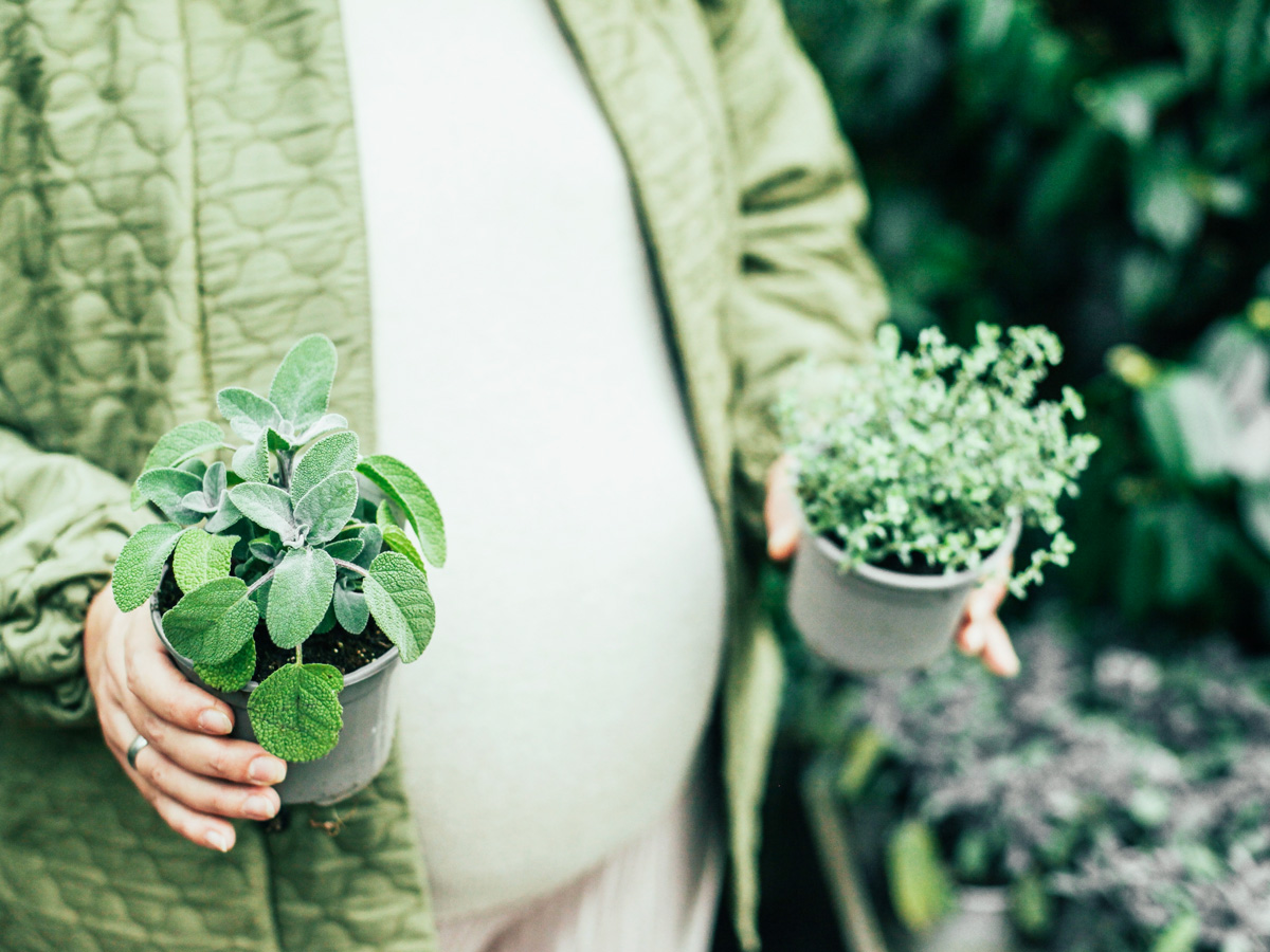 25-shutterstock_2266041327