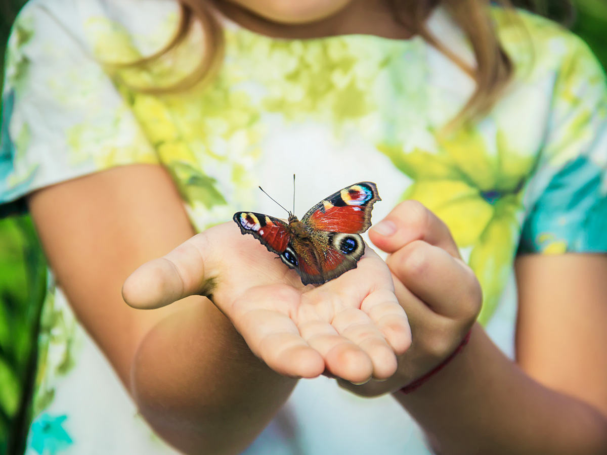 16-shutterstock_1288077388