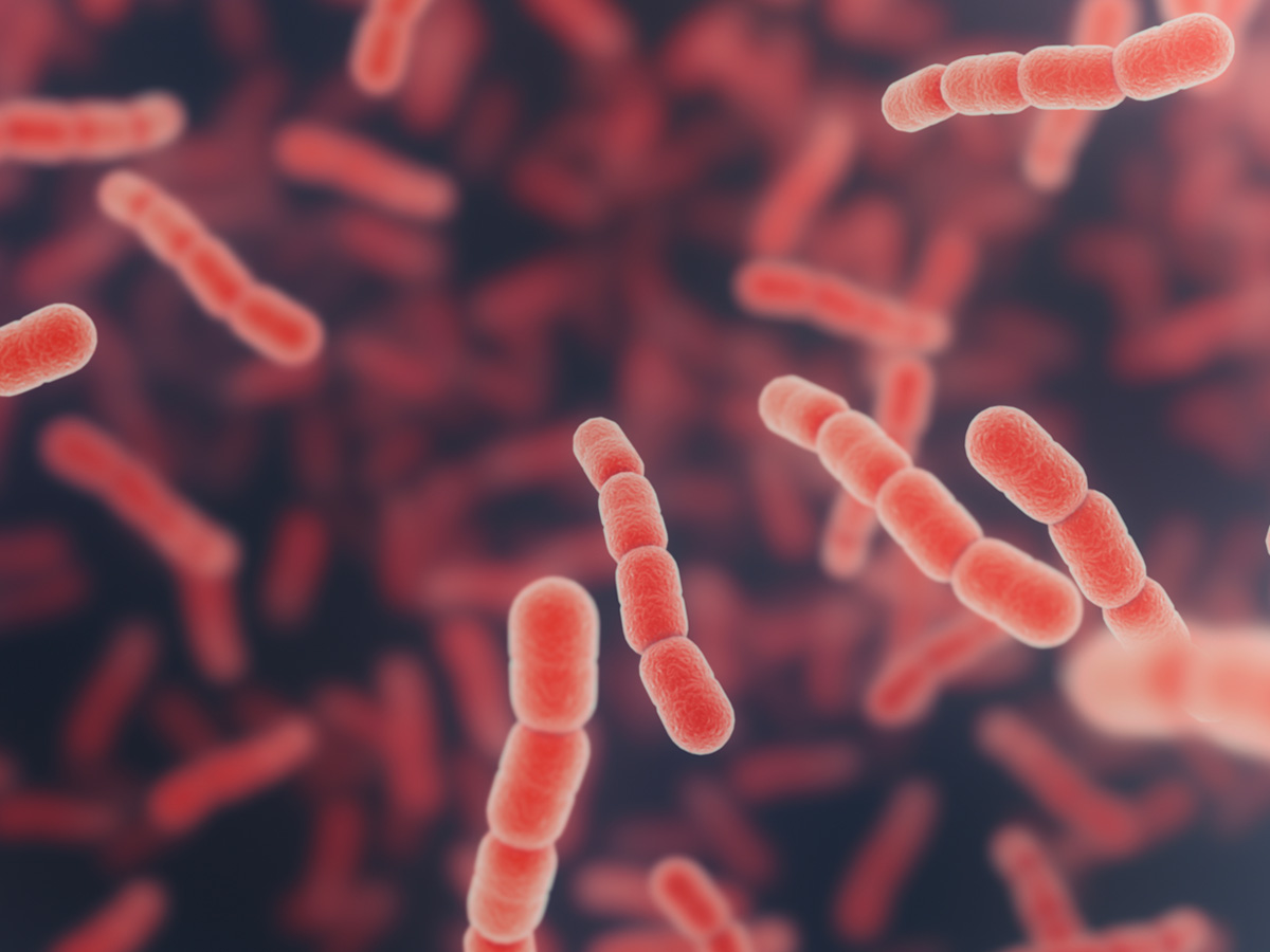 17-shutterstock_1414454261