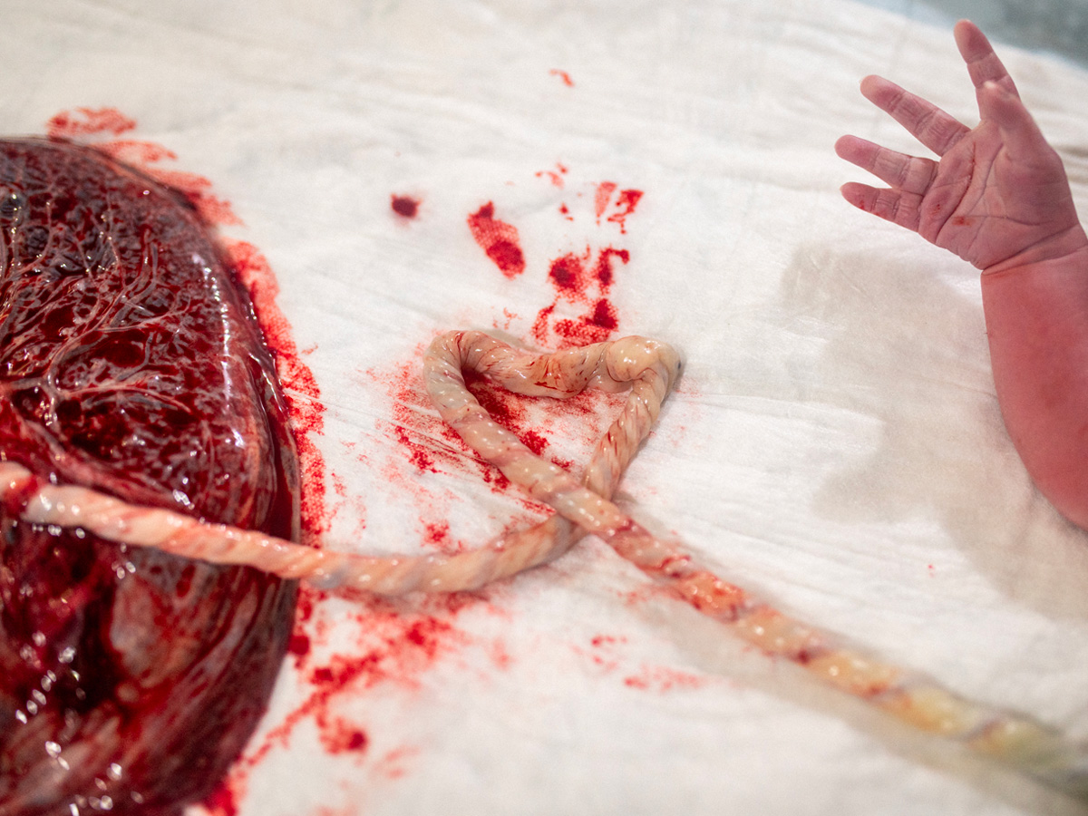 29-shutterstock_1929506378