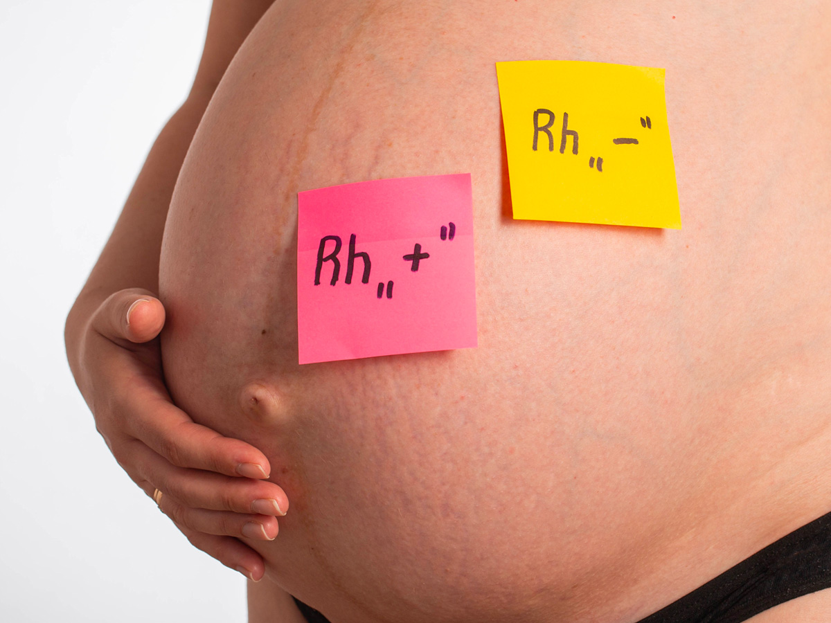 33-shutterstock_2253311147