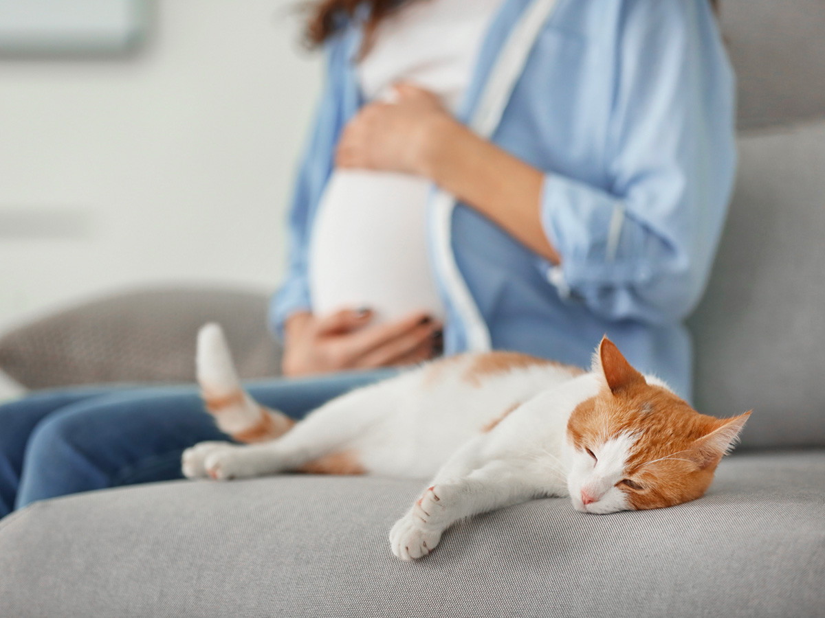 16-shutterstock_1007103538