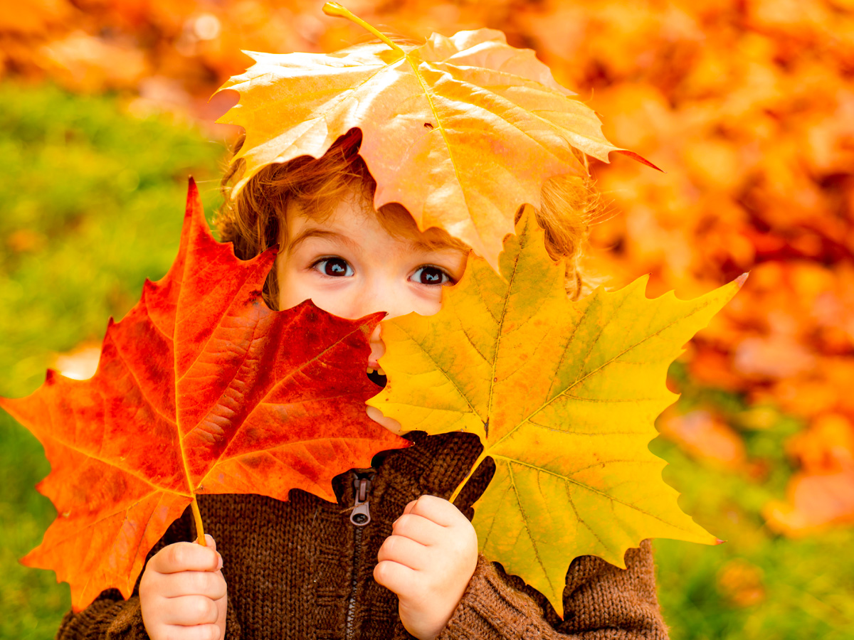 24-shutterstock_1797057514