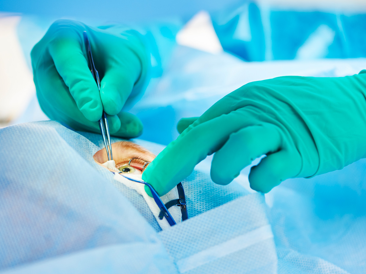 7-shutterstock_262898927