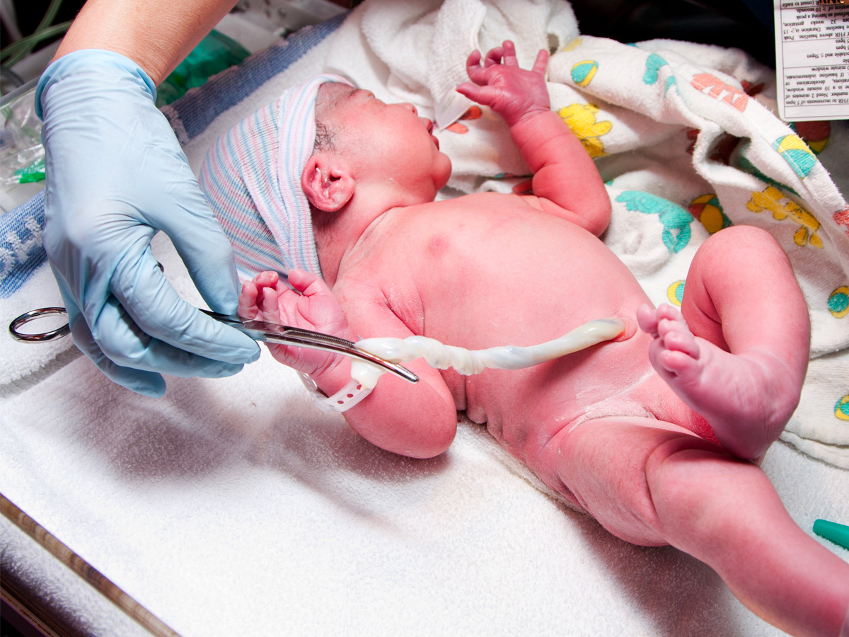 2-shutterstock_91033490