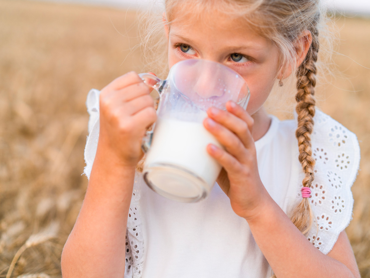 29-shutterstock_2271229547