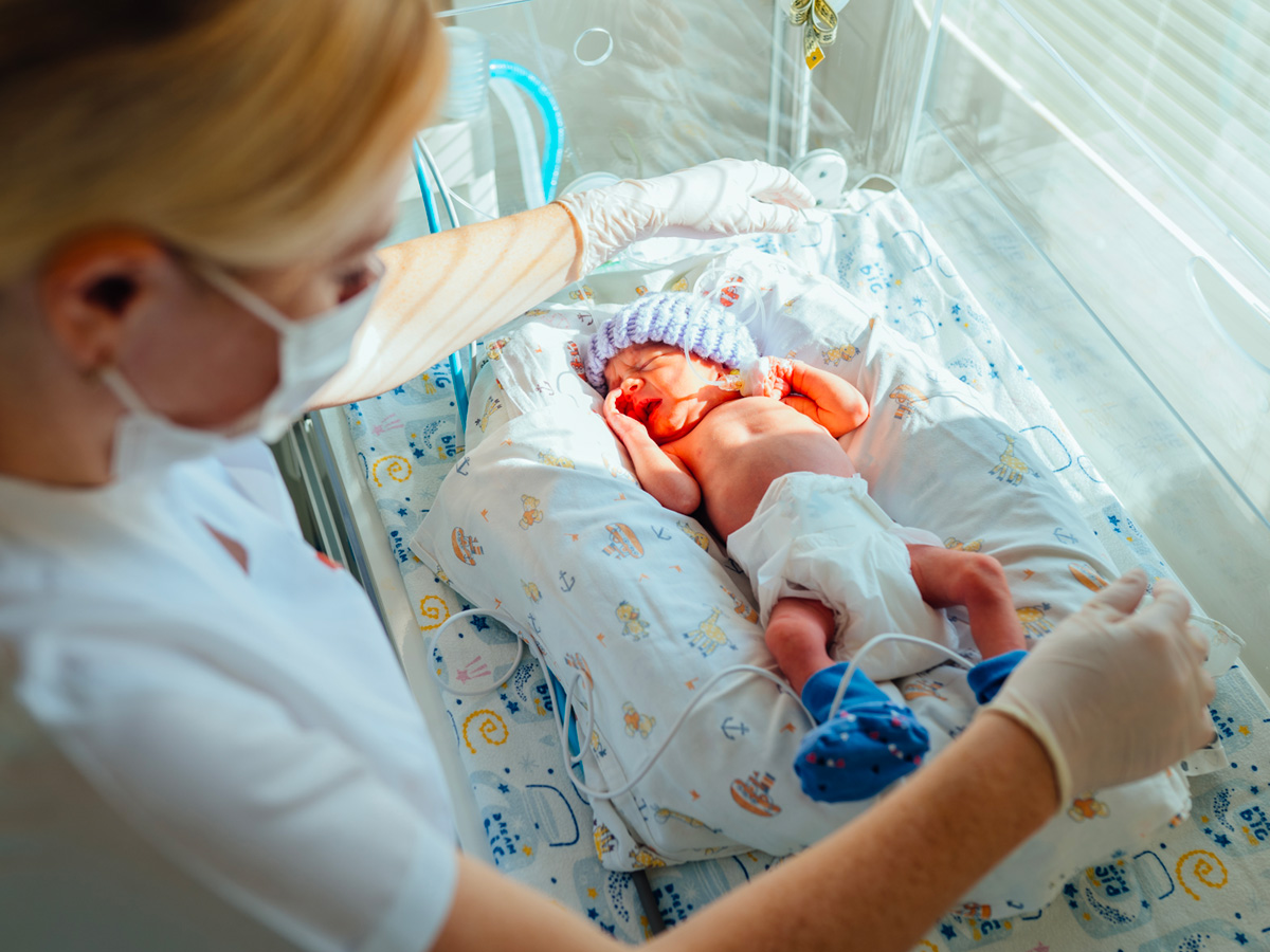 31-shutterstock_2314056561