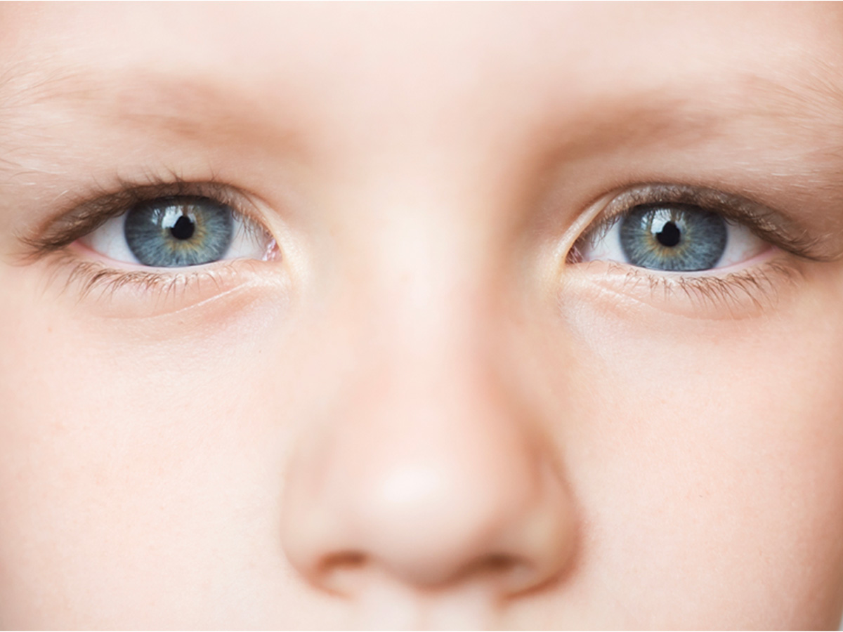 13-2-shutterstock_1094650127