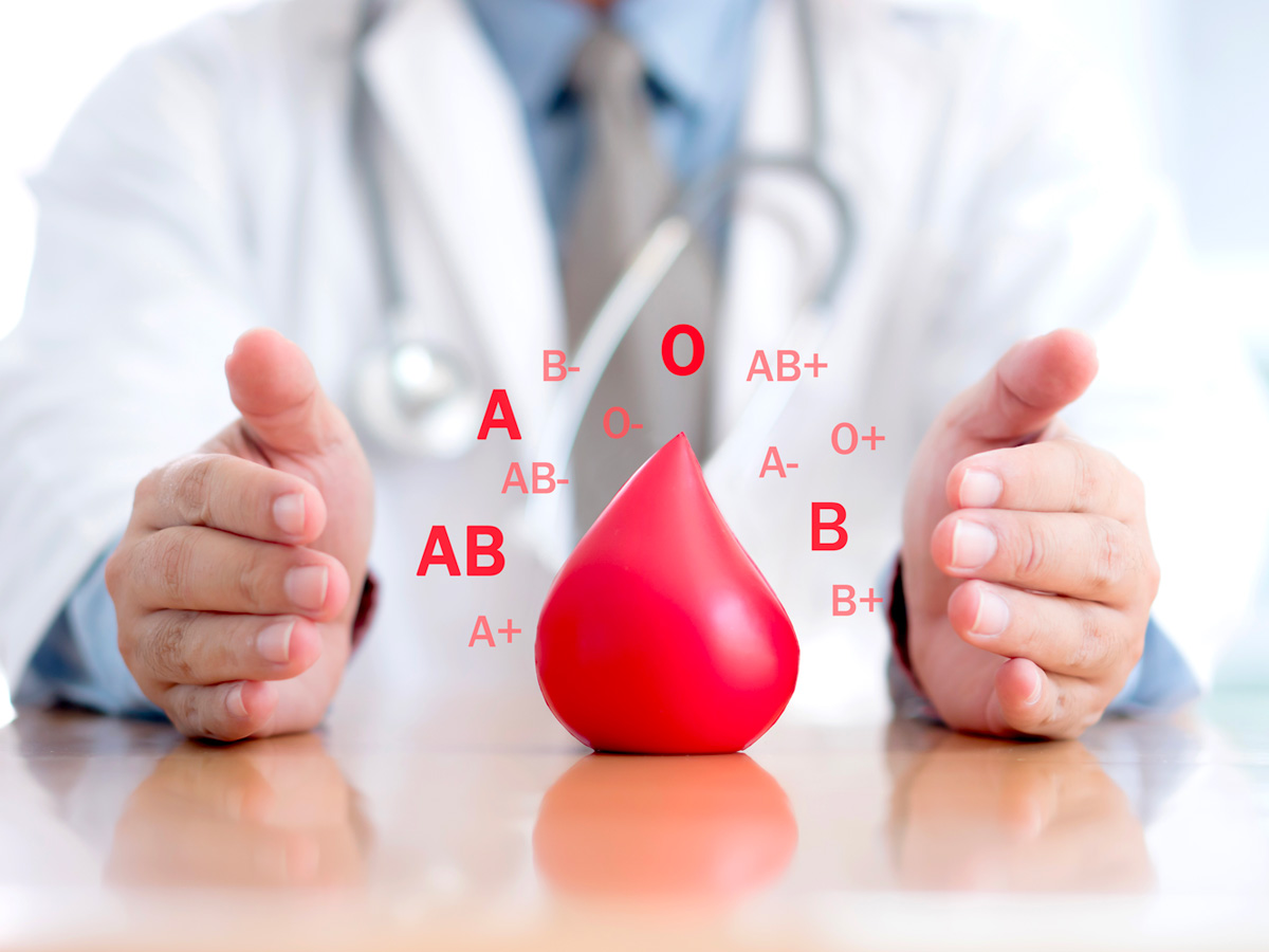 14-shutterstock_1231731373