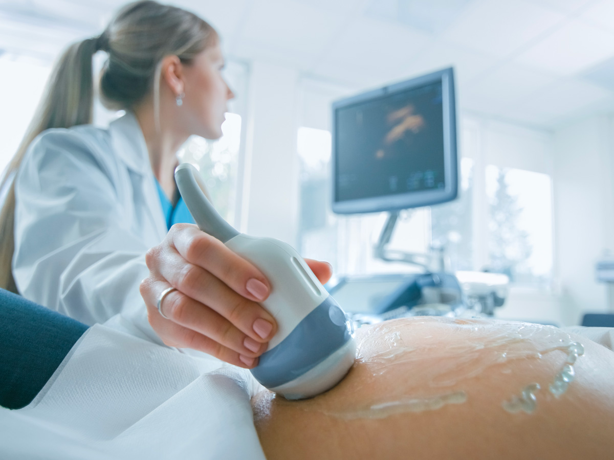 11-shutterstock_1130966555