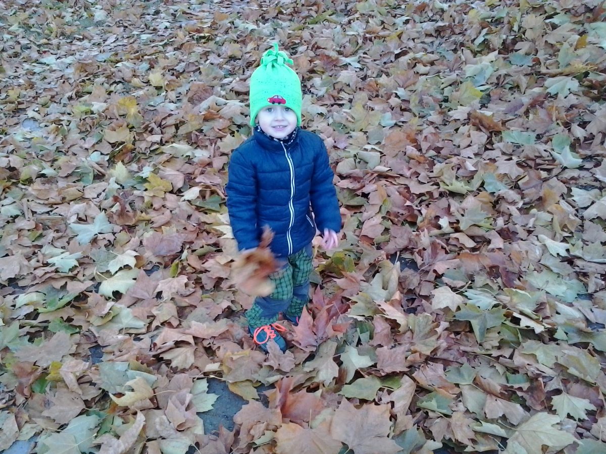 Fotografie (Bojovníci vitamíny)