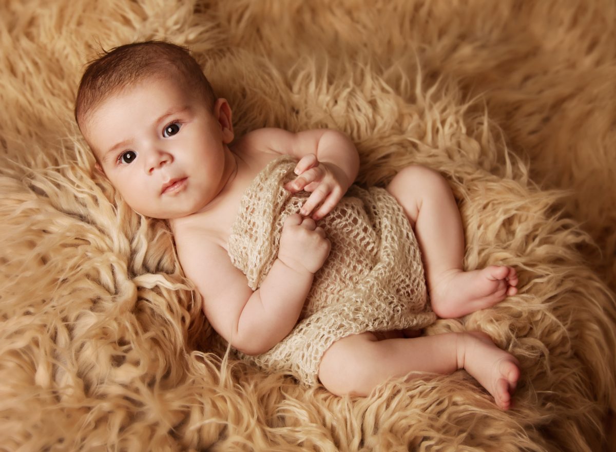 Fotografie (Bobbi, Moby a Šoko Gejs)