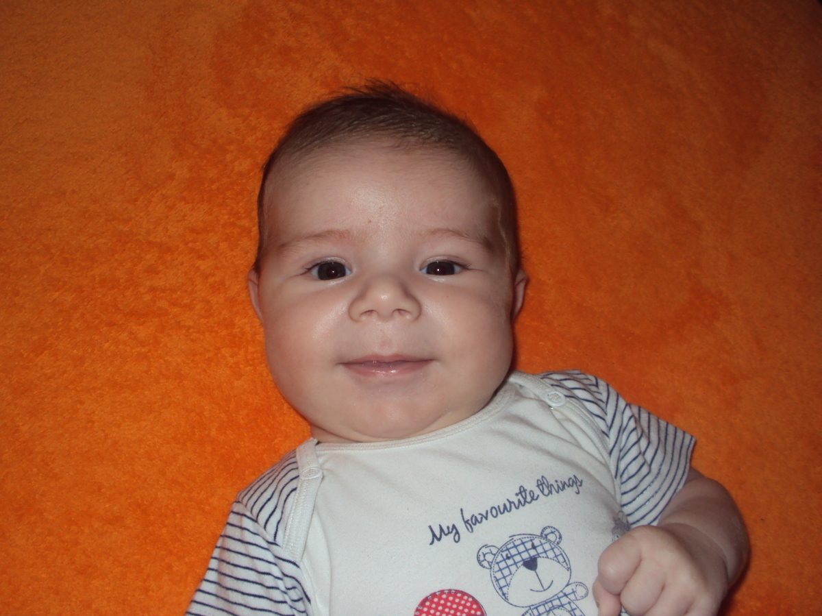 Fotografie (Na cestě a pokakaná)