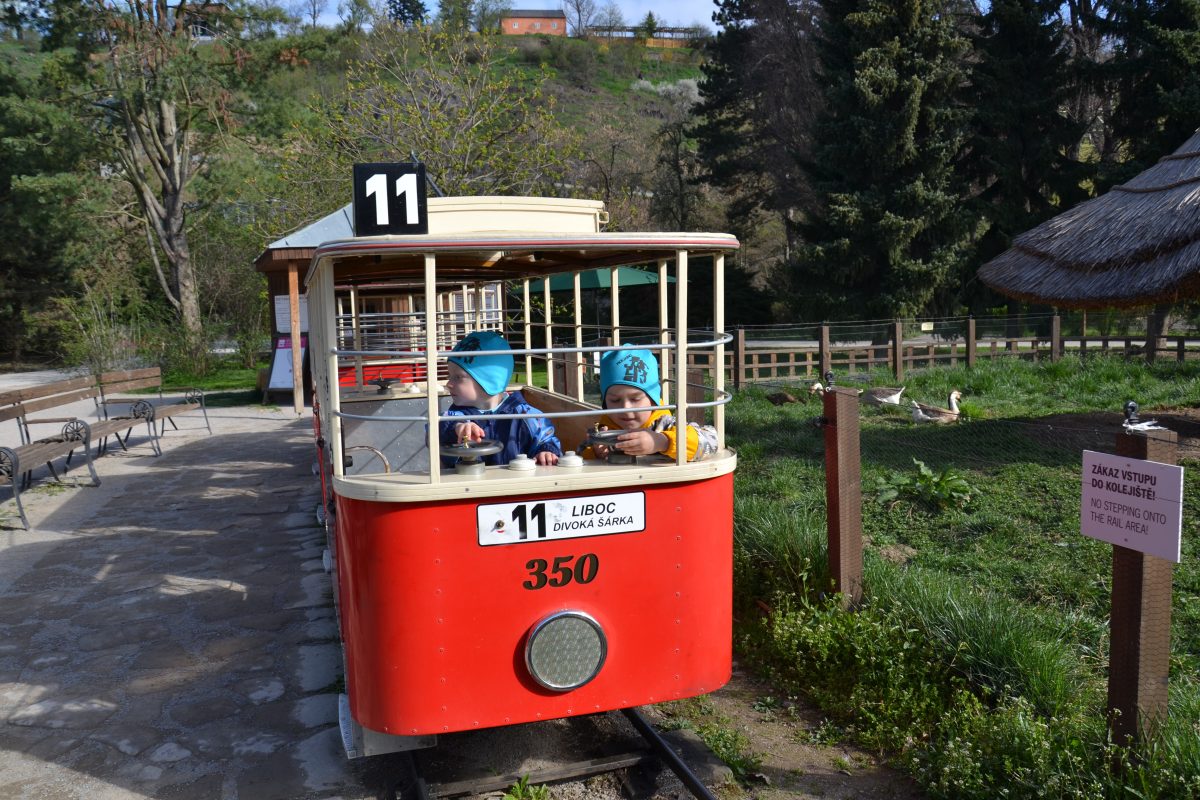 Fotografie (Jarní restart)