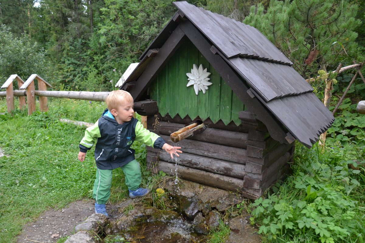 Fotografie (Velký bratr II.)