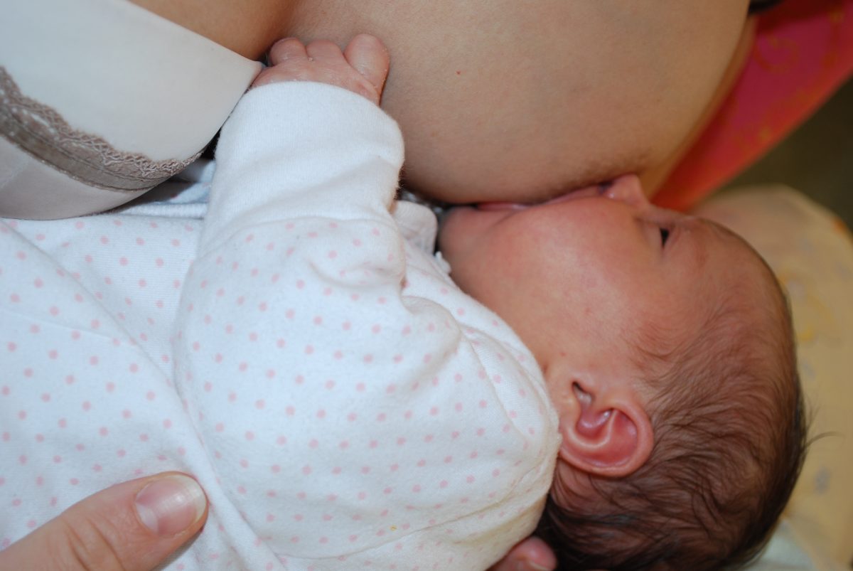 Fotografie (Co se dělo v prvních dvou měsících)