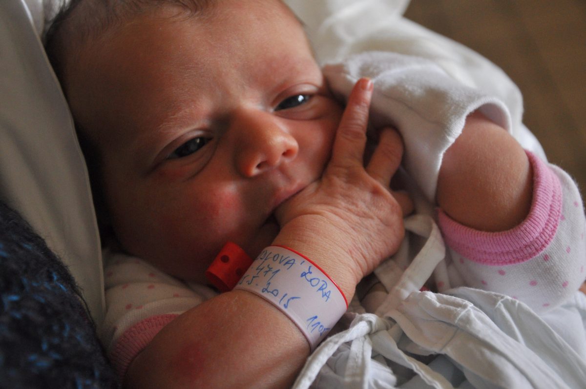 Fotografie (Porod, Zorka a já)