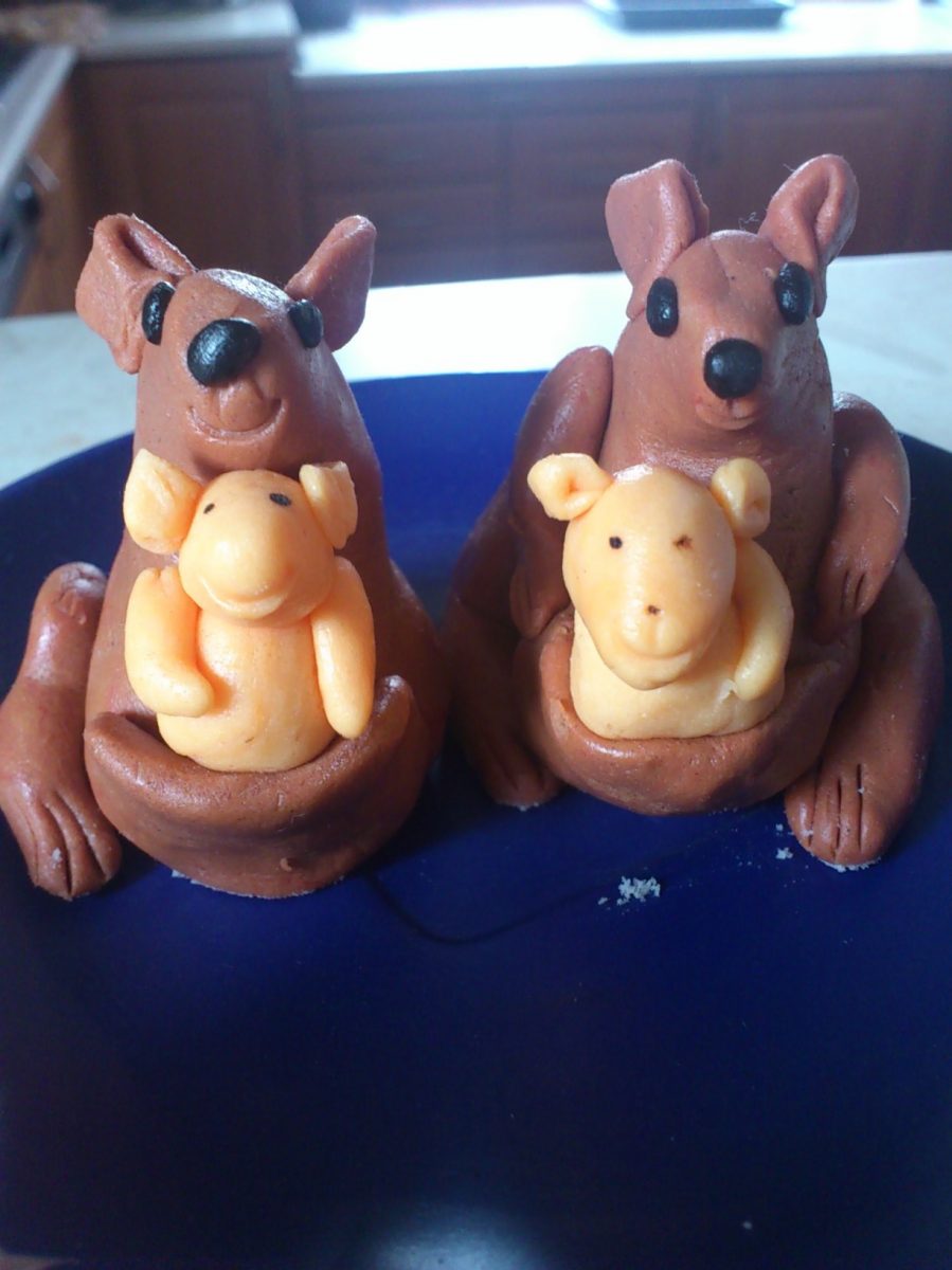 Fotografie (Jak originálně oznámit těhotenství a kdy?)