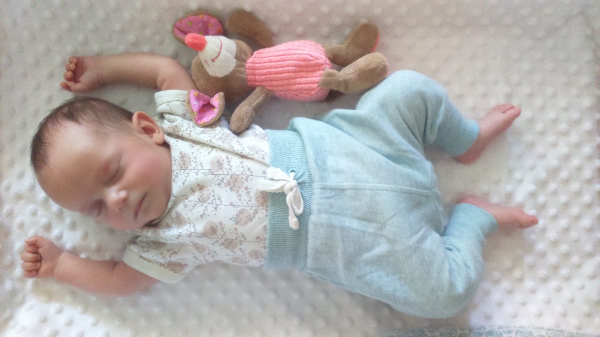 Fotografie (Barvy jsou místem, kde se setkávají mozek a vesmír (Paule Cesanne))