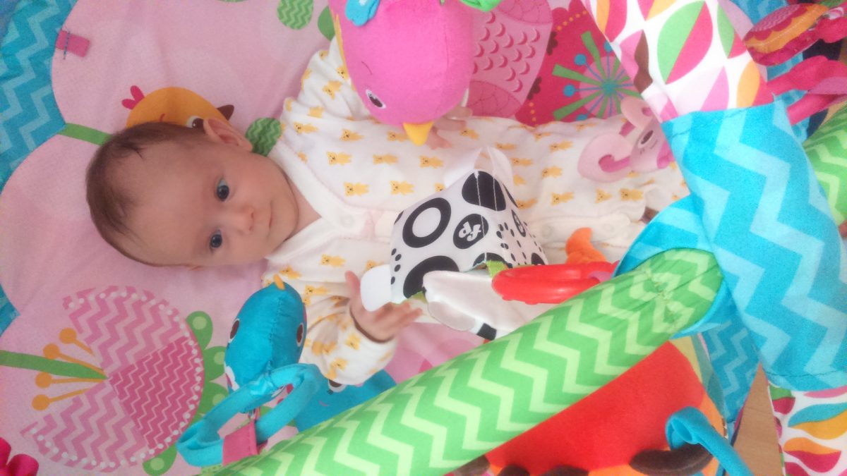 Fotografie (Naše soukromá olympiáda)