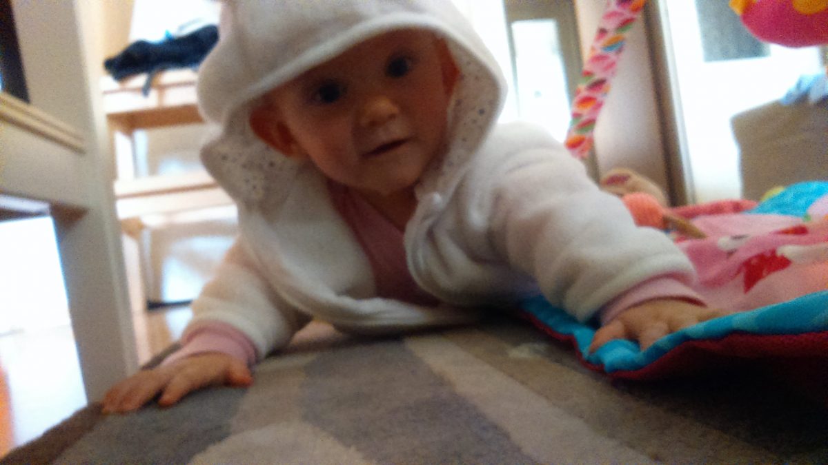 Fotografie (Čekání na Vánoce)