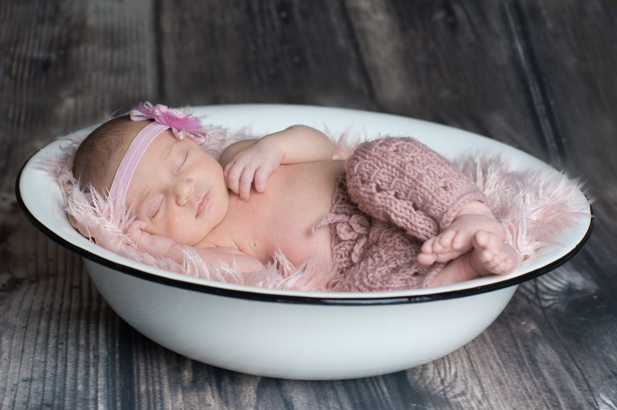 Fotografie (Roste do krásy!)