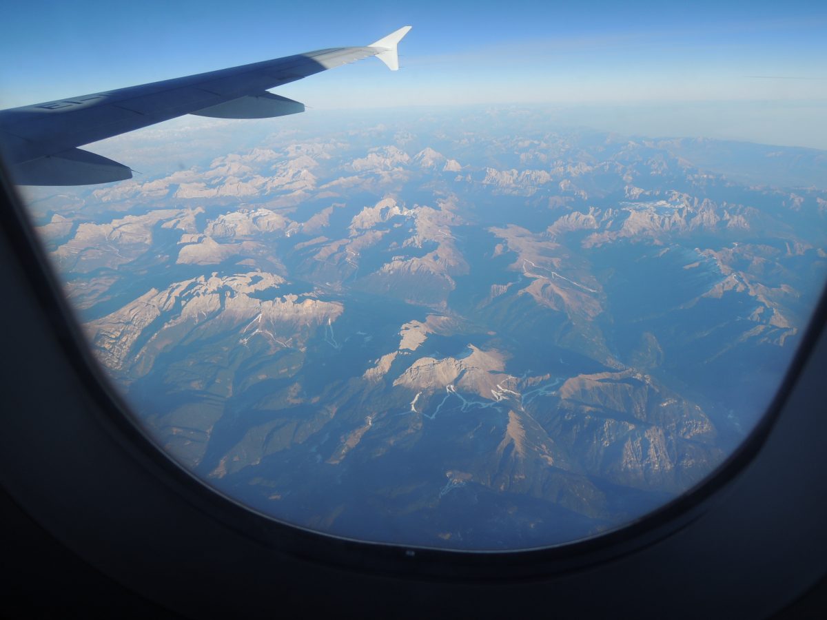 Fotografie (Sáňky v létě)