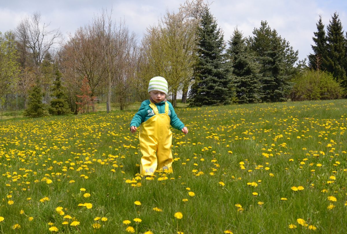 Fotografie (Kde vzít a nekrást?)