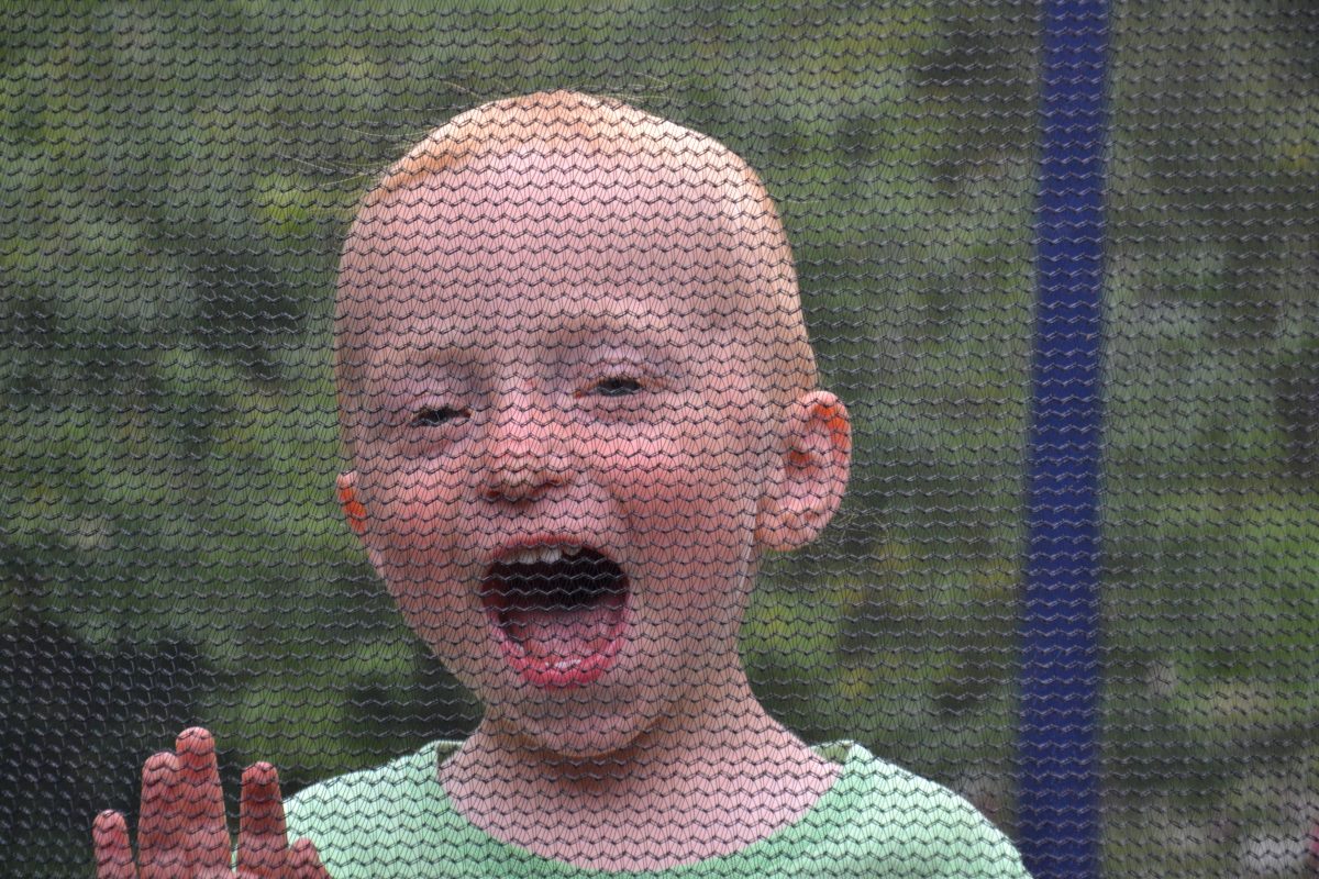 Fotografie (Člunkový běh aneb Líná helikoptéra)