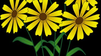 flowers-clip-art-5-352x198.png