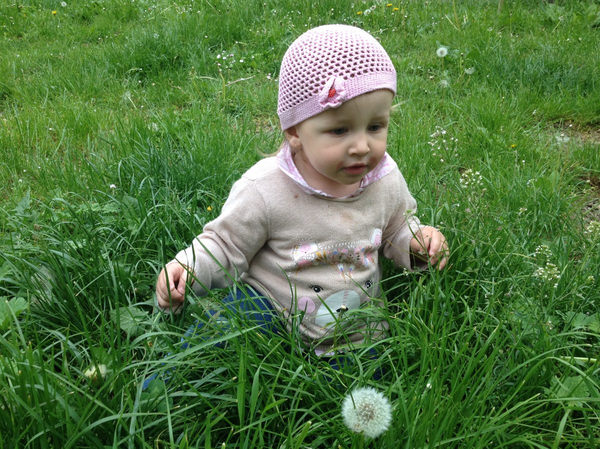 Fotografie (Pampeuvližky aneb Příušnice – díl II.)