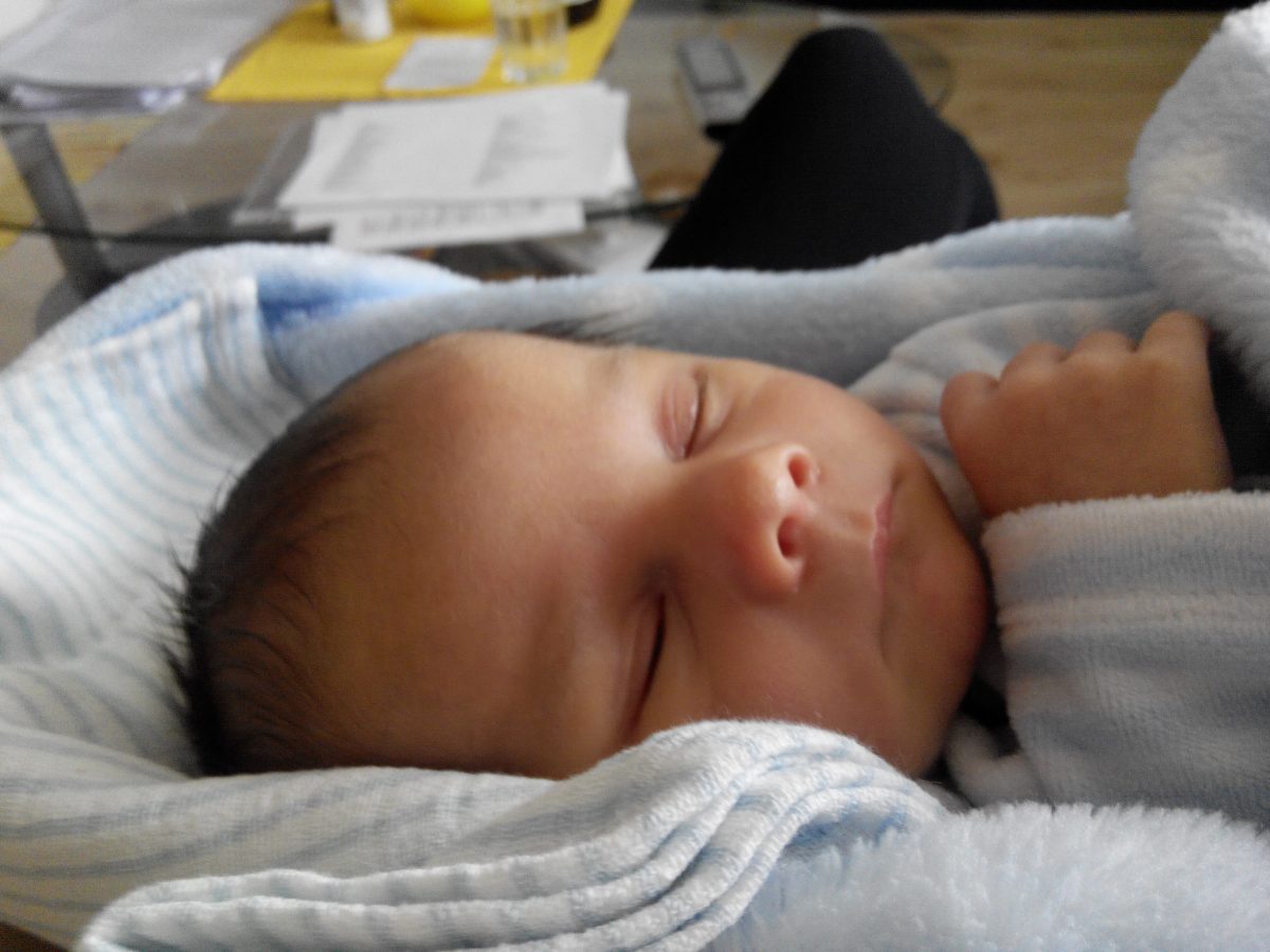 Fotografie (Nový člen rodiny)