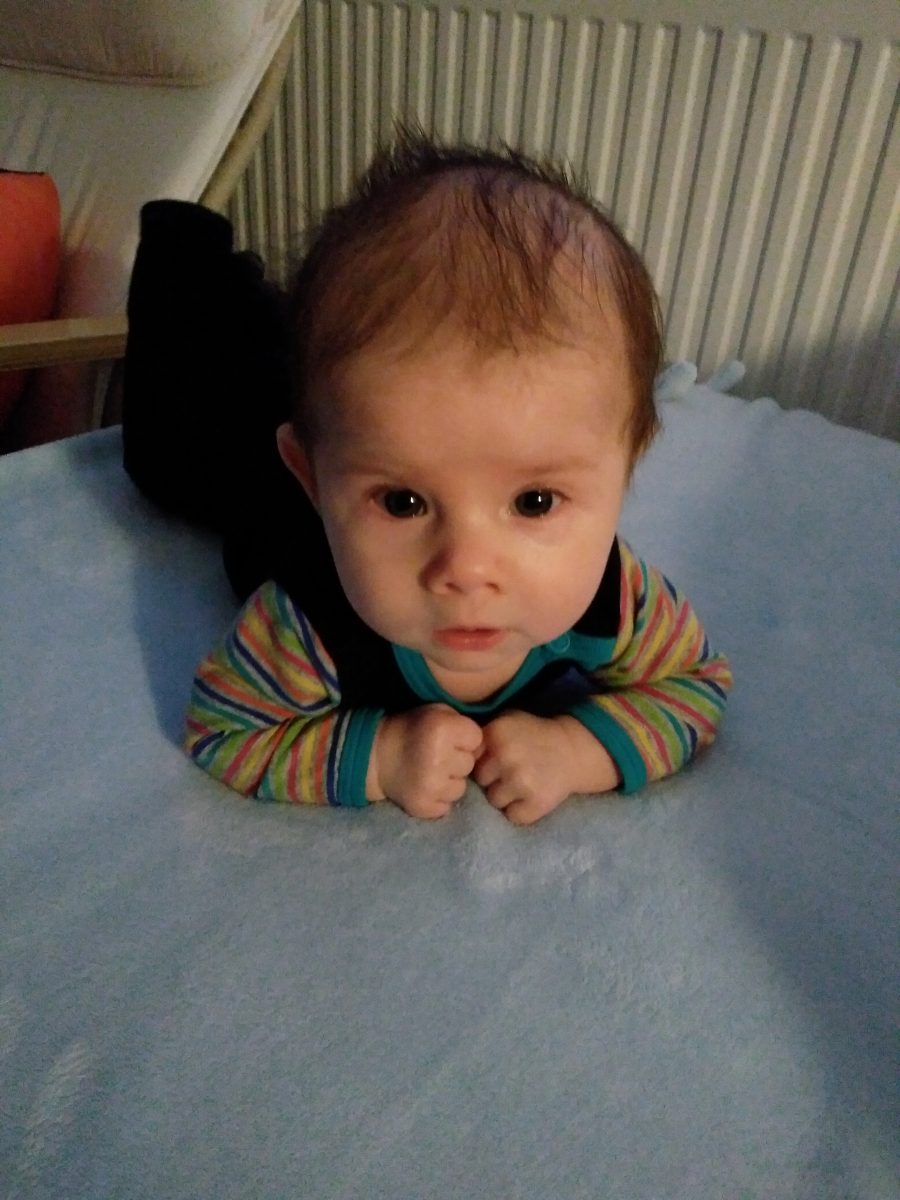 Fotografie (Miminko &  Mimino)