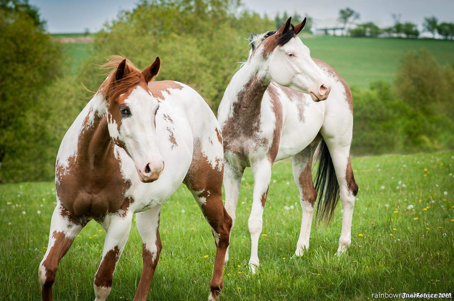 Fotografie (Tak trošku odpočinkový týden )